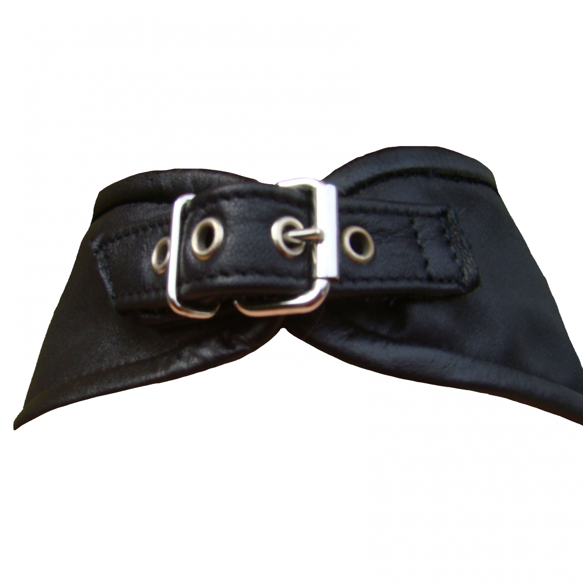 lederhalsband